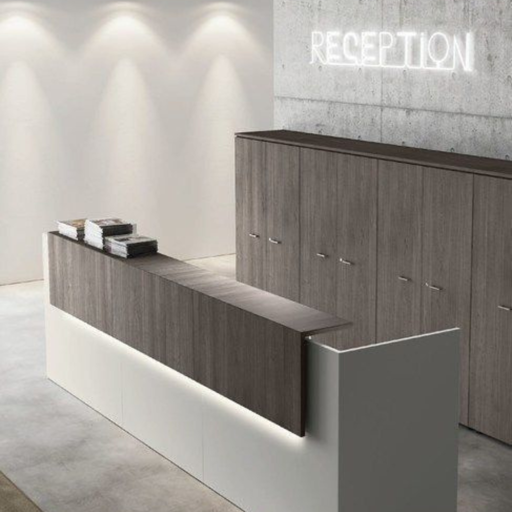 RECEPCIÓN (2)
